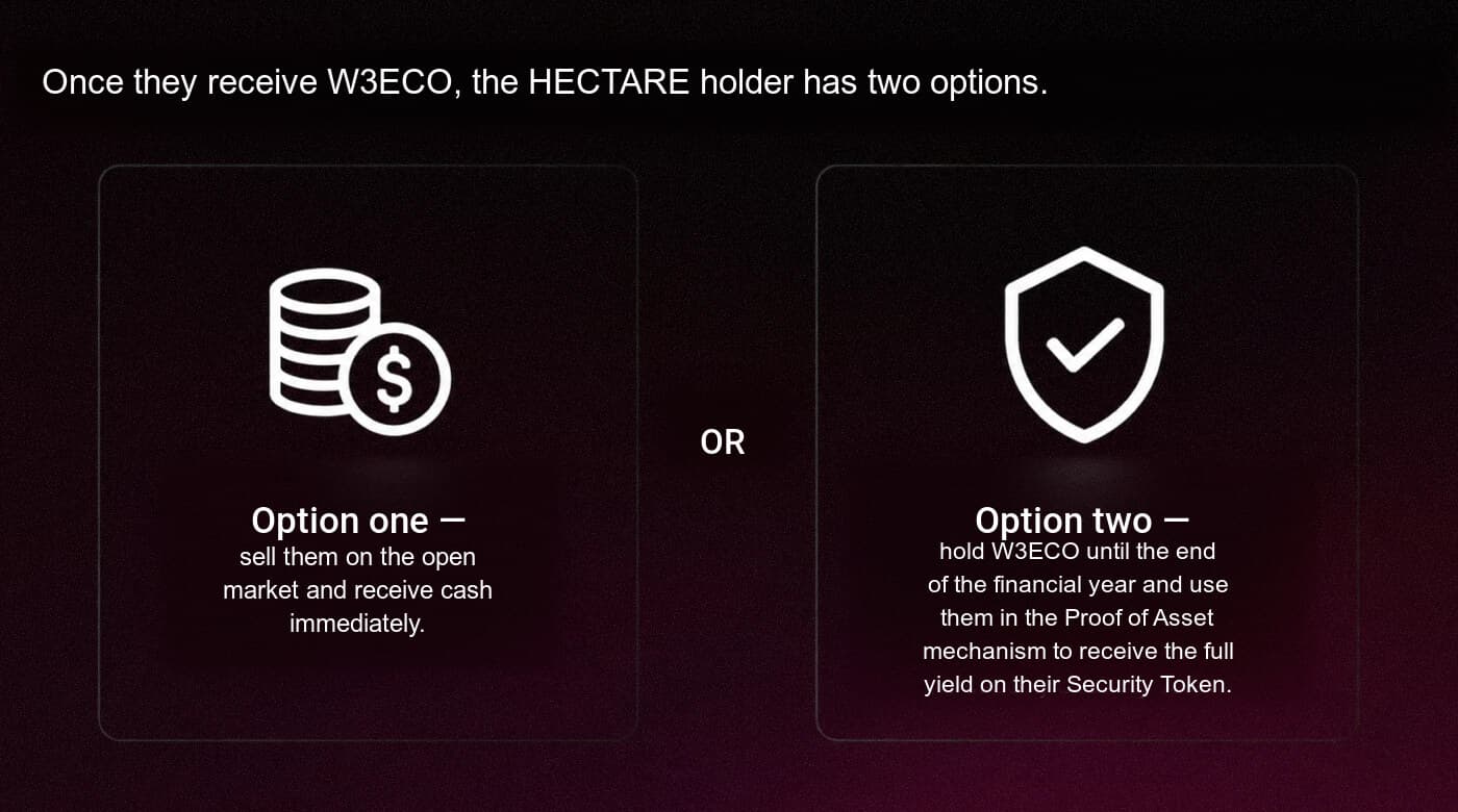 Two options for a HECTARE holder after receiving W3ECO